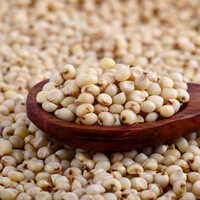 Fresh Jowar