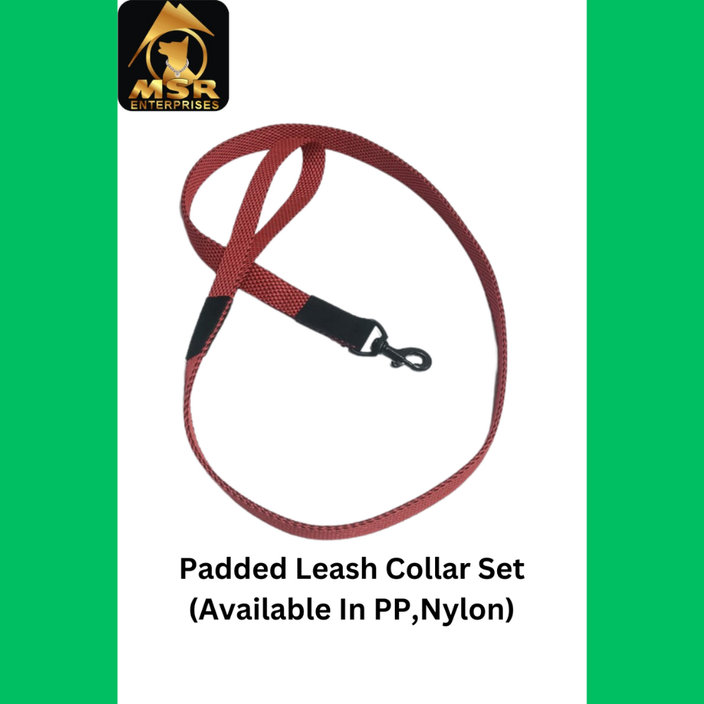 Pp / Nylon Single Layer Dog Leash - Durable Pp And Nylon Materials, Lightweight Design For Easy Handling , All Sizes Available In Stylish Red