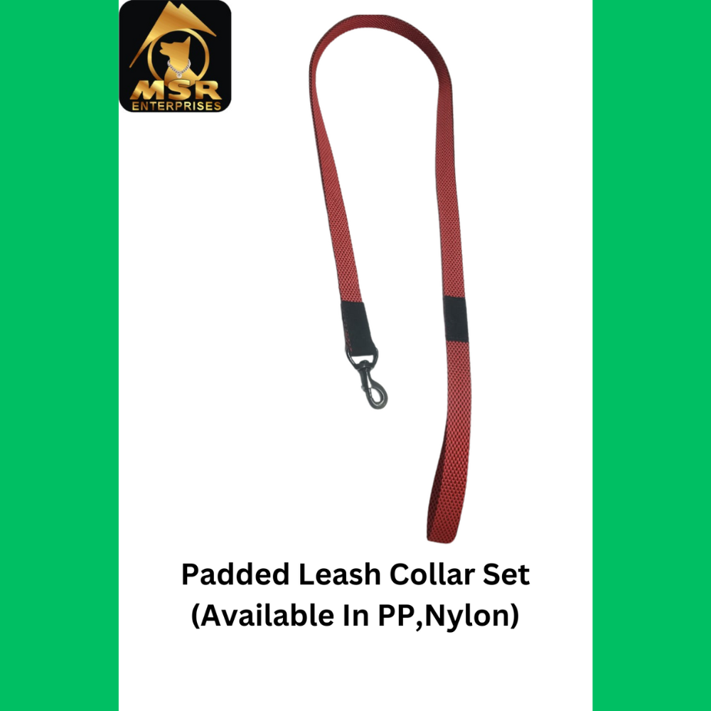 Pp / Nylon Single Layer Dog Leash - Durable Pp And Nylon Materials, Lightweight Design For Easy Handling , All Sizes Available In Stylish Red