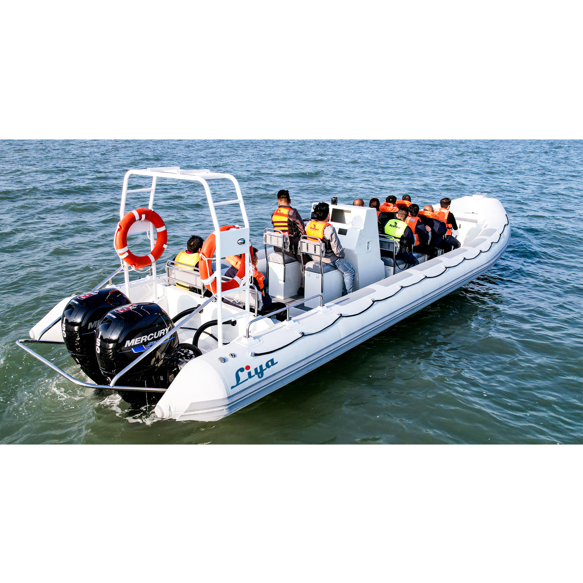 Liya 30feet Aluminum Rib Boat Capacity: 2000 Tons/year
