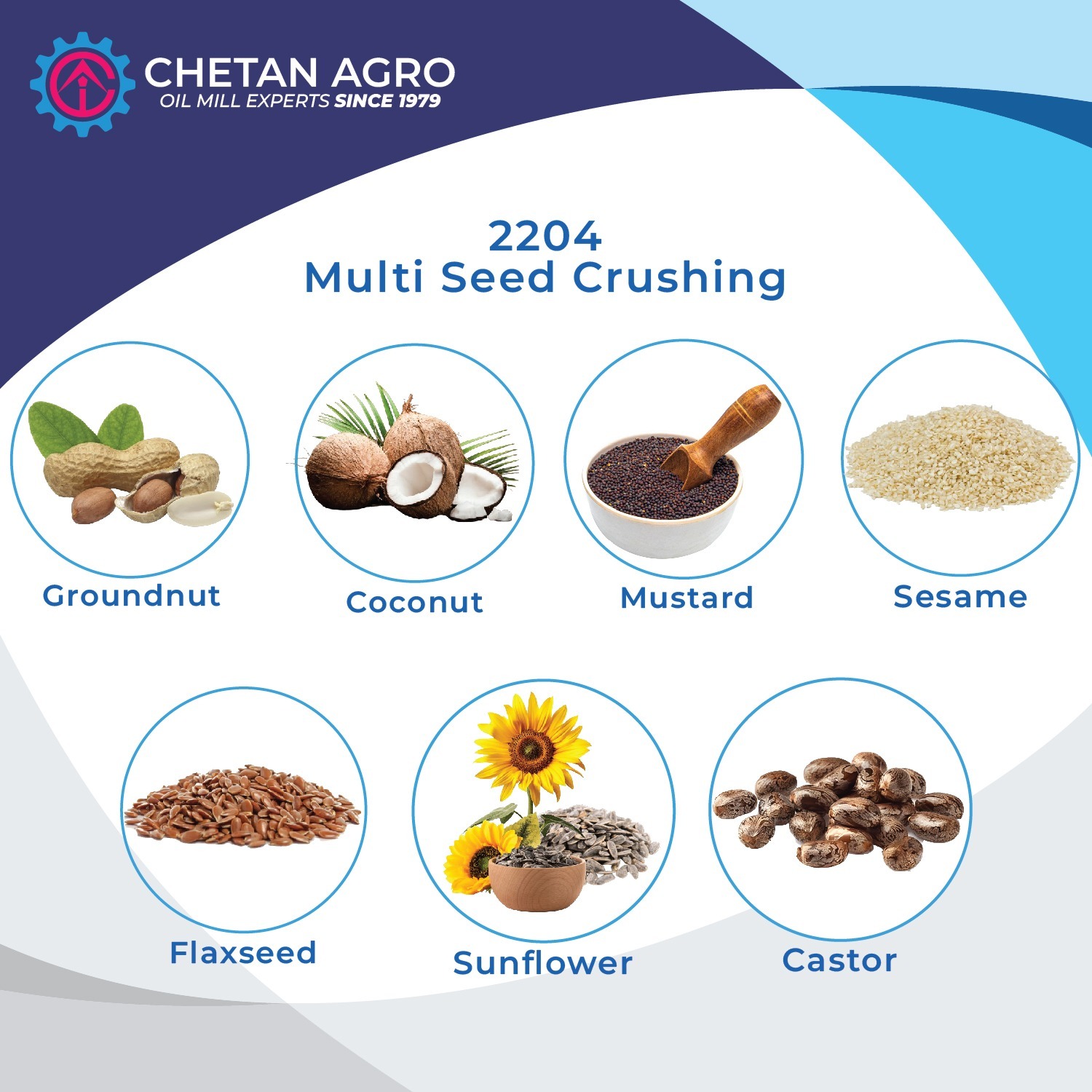 Groundnut Oil Mill Plant Chetan Agro Oil Expeller Capacity 100-125 Kg/hr Power: 10 Horsepower (Hp)