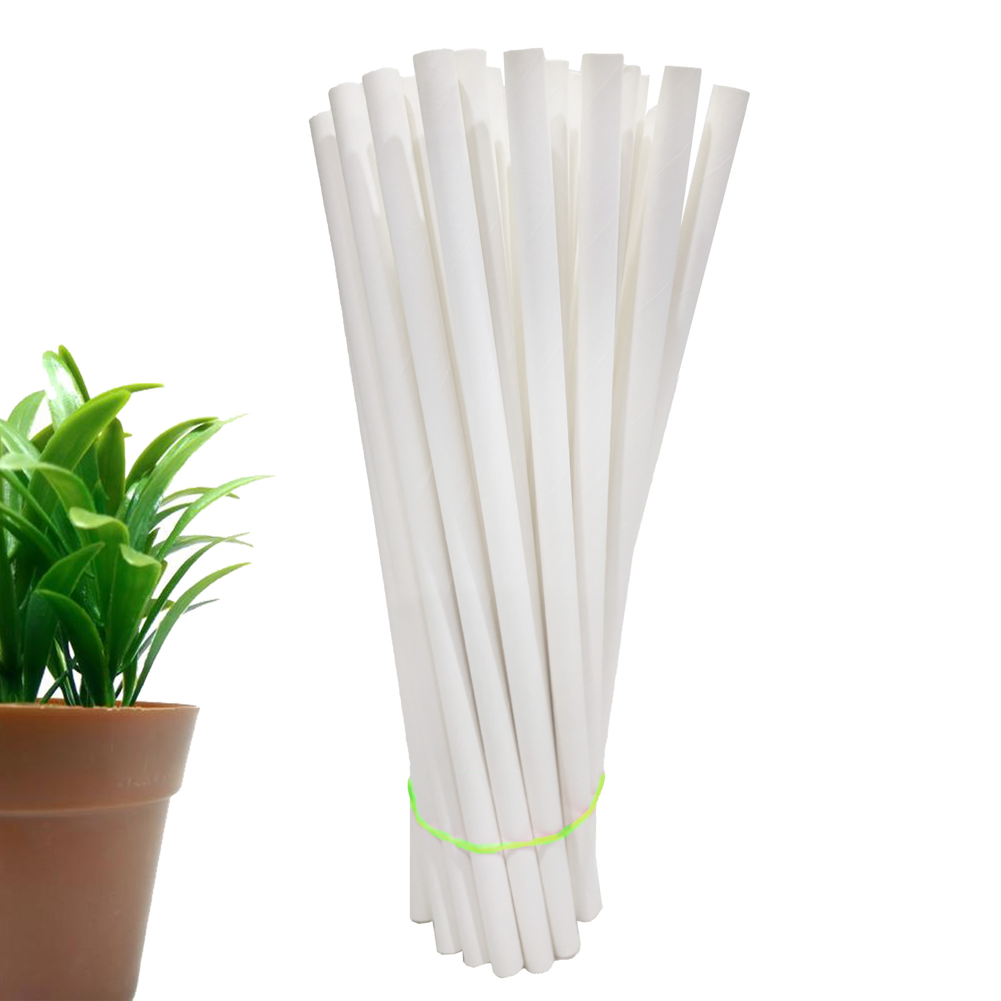 Paper Straws All Sizes - Product Type: Biodegradable Disposable