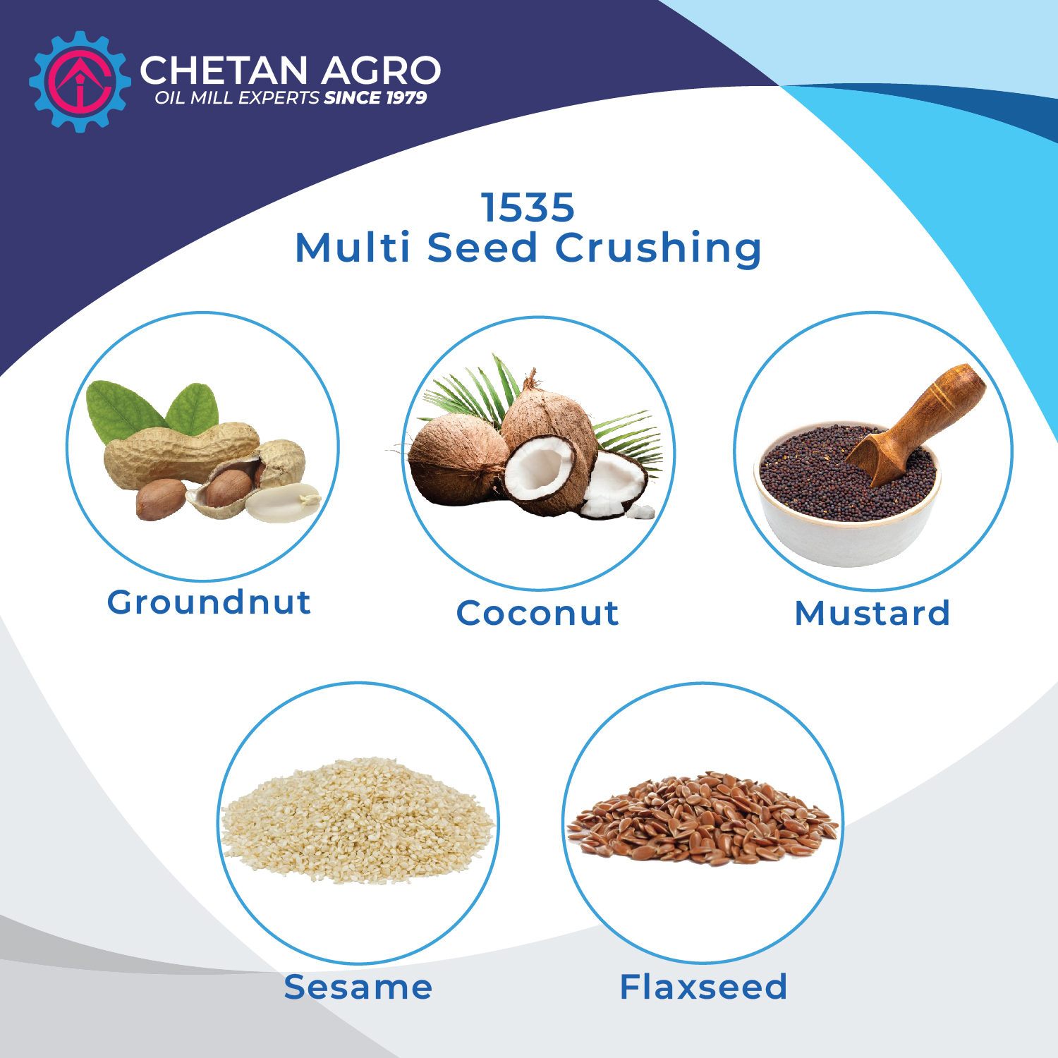 Mustard Mini Oil Mill Plant Chetan Agro Oil Expeller Capacity 30 Kg/hour