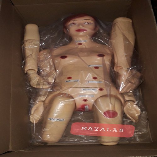 Nursing Manikin Model