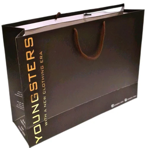 Kraft Paper Carry Bags - 8x10 Inches, Brown Moisture-Proof Design with Eco-Friendly Rope Handles