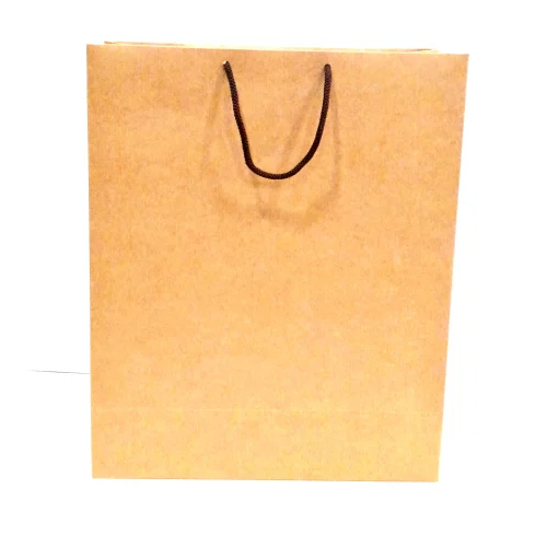 Paper Carry Bag - Kraft Paper, 8x10 Inches, Classic Brown | Moisture Proof, Recyclable, Customizable Designs