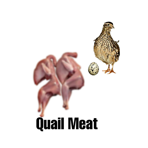Frozen Meat - Flavor: Original