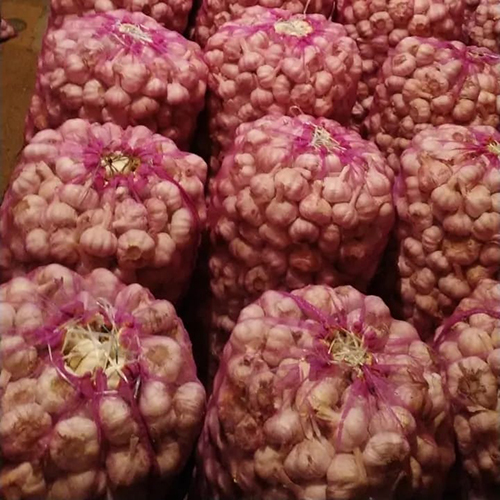 Round Raw Fresh Garlic