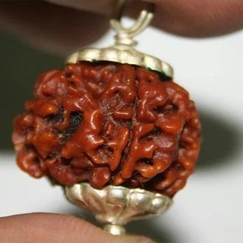 Wood Silver Cap 5 Mukhi Rudraksha