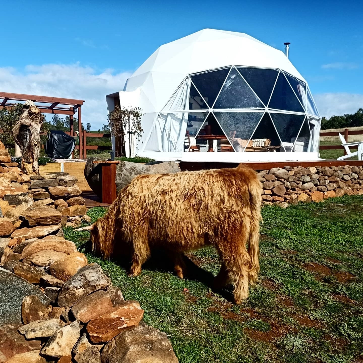 Resort Hotel Glamping Dome Tent Luxury 4-5 Person Shell Tent Safari Camping Tent