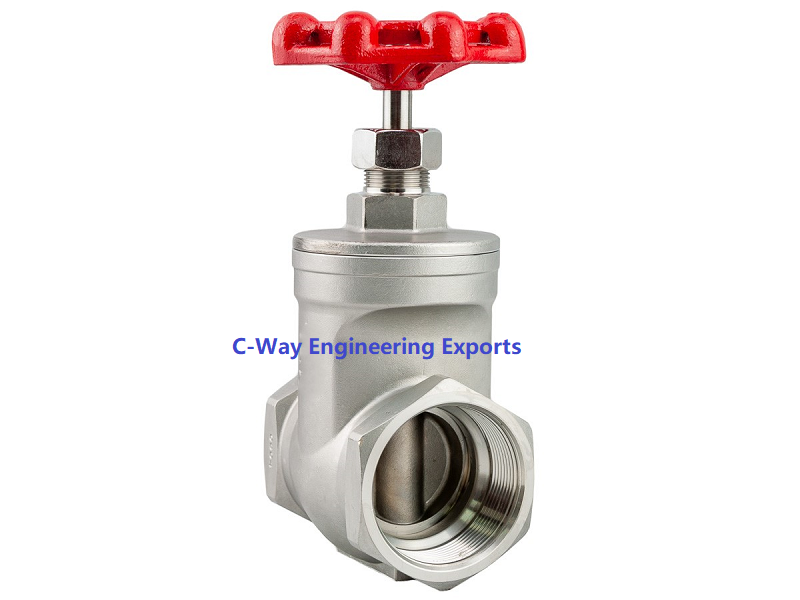 Stainless Steel Gate Valve Screwed End 1 Inch