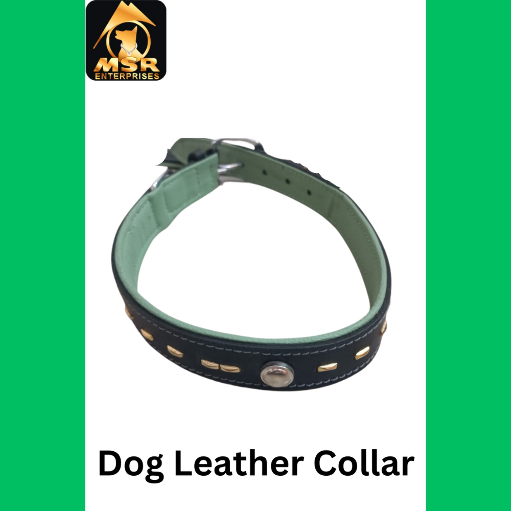 Leather Fancy Dog Leash - 1.5 Inch, Durable Leather Material, Elegant Black Color With Brass Hook For All Dog Breeds
