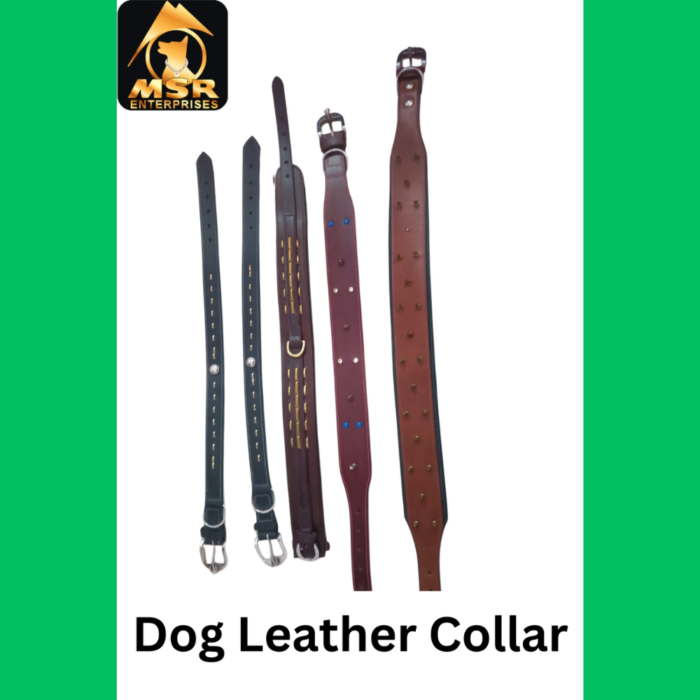 Leather Fancy Dog Leash - 1.5 Inch, Durable Leather Material, Elegant Black Color With Brass Hook For All Dog Breeds