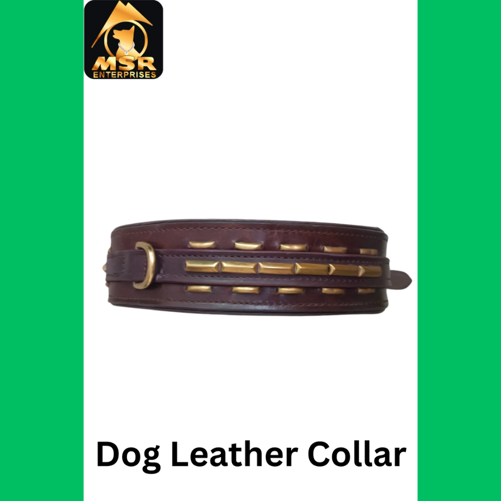 Leather Fancy Dog Leash - 1.5 Inch, Durable Leather Material, Elegant Black Color With Brass Hook For All Dog Breeds