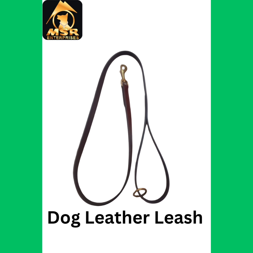 Leather Dog Show Leash - High Quality Leather, 0.75 Inch Width, Classic Brown Color, Comfortable Grip, Tangle-free Design, Suitable For All Breeds