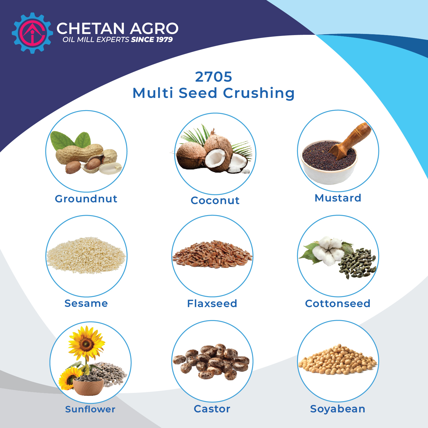 Soyabean Oil Mill Plant Chetan Agro Oil Expeller Capacity 150-200 Kg/hour