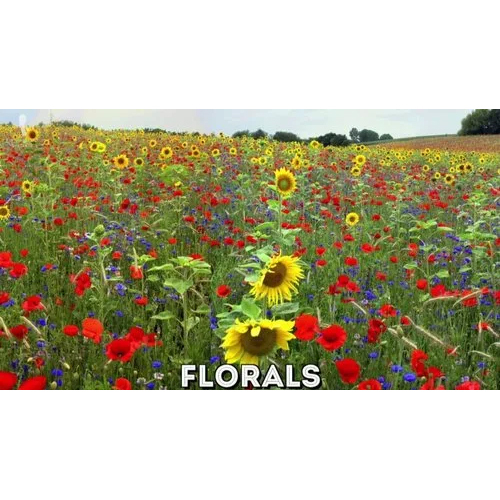 फ्लोरल सुगंधे