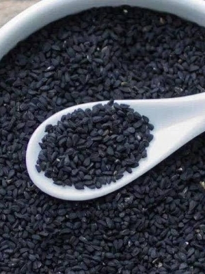 Nigella Seeds - Premium Organic Black Seed, Nutrient-Rich Source for Culinary Uses