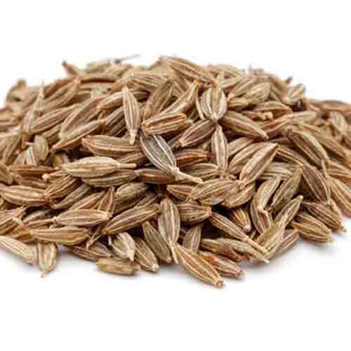 Cumin Seed - High Purity, Brown Color | Common Cultivation, Moisture Nil