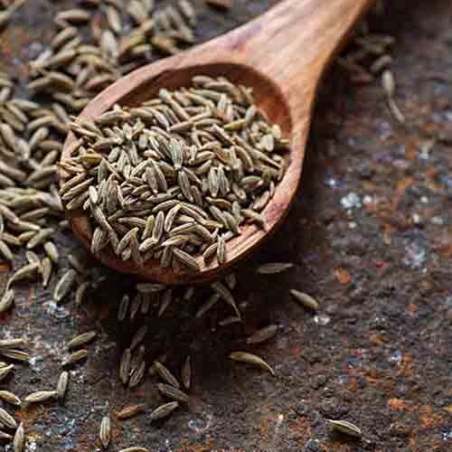 Cumin Seed - High Purity, Brown Color | Common Cultivation, Moisture Nil