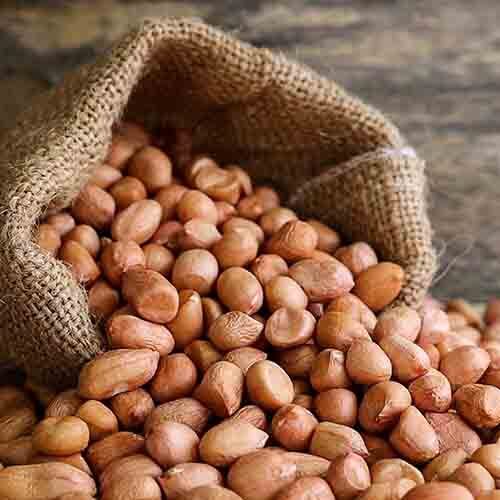 Groundnut Seed - Fresh Quality, Low-Fat Nutritional Value | Bulk Packaging