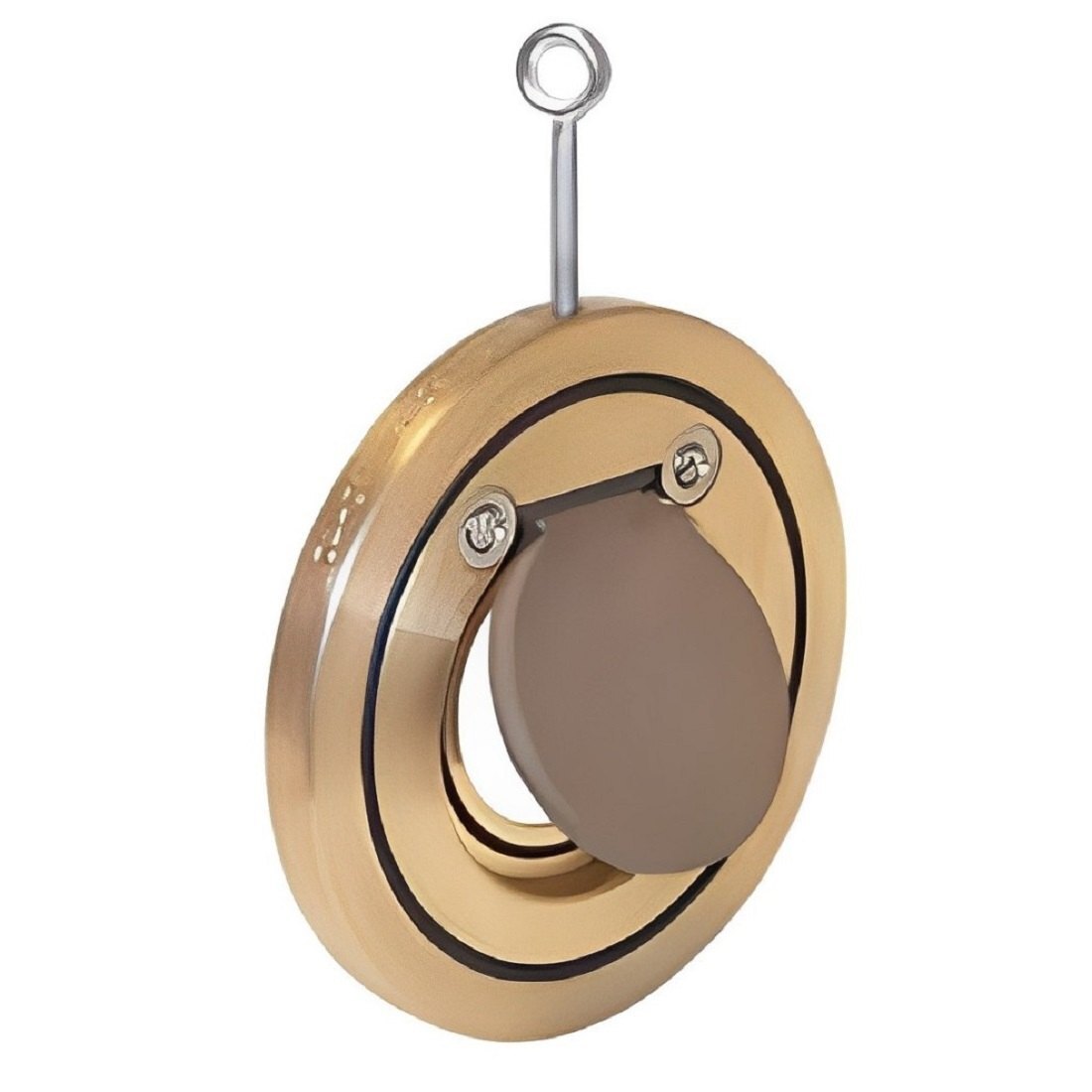 Brass Wafer Check Valve 1 Inch Pn 16 - Application: Oil & Gas Industry