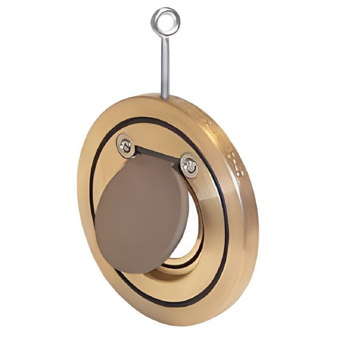 Brass Wafer Check Valve 1 Inch Pn 16 - Application: Oil & Gas Industry