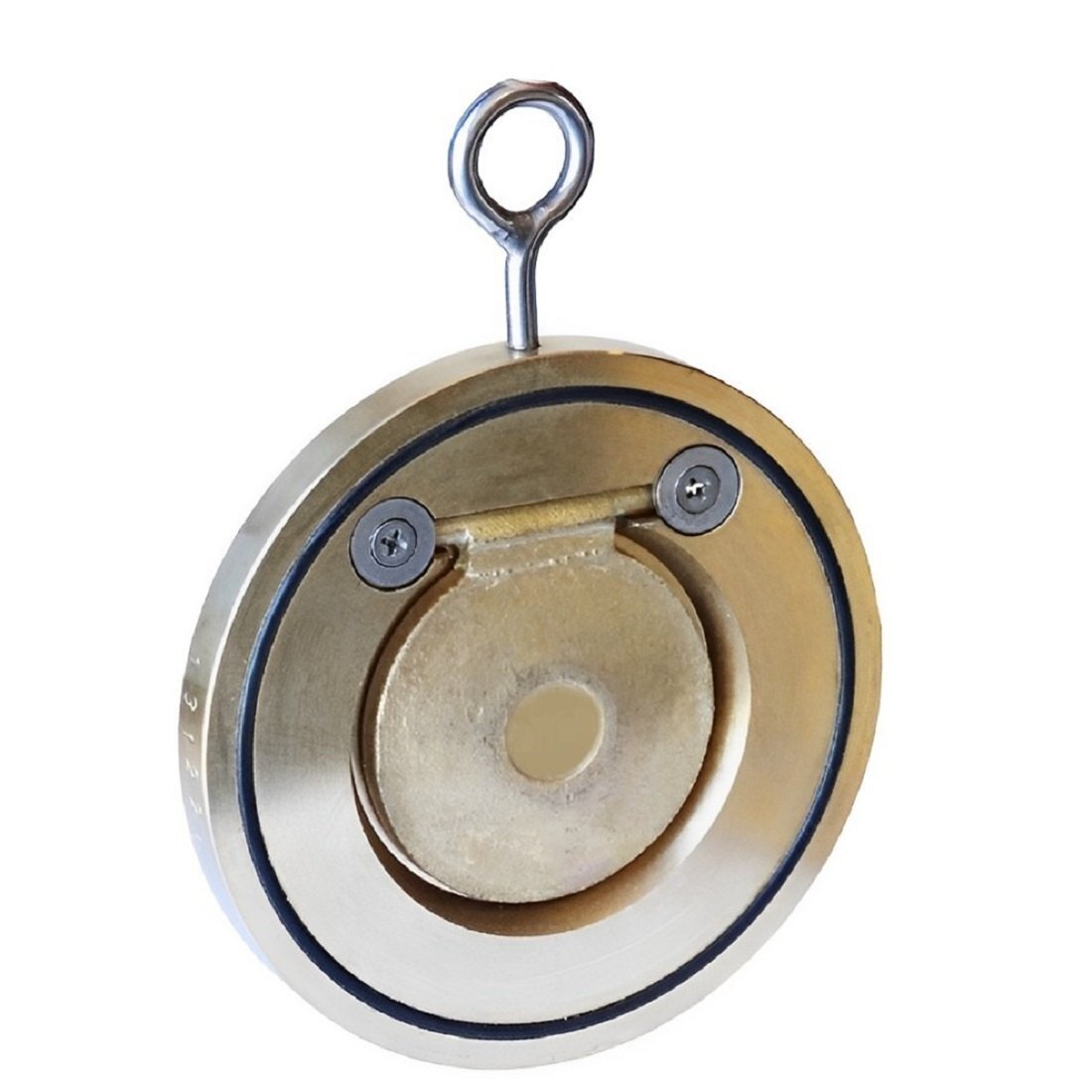 Brass Wafer Check Valve 1 Inch Pn 16 - Application: Oil & Gas Industry