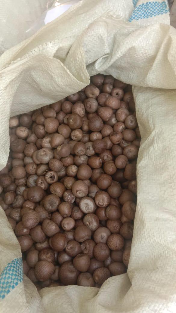 Supari Betel Nuts - Dried, Round/oval Shape, Brown Color | Authentic Taste, High Quality, Natural Flavor, Premium Grade