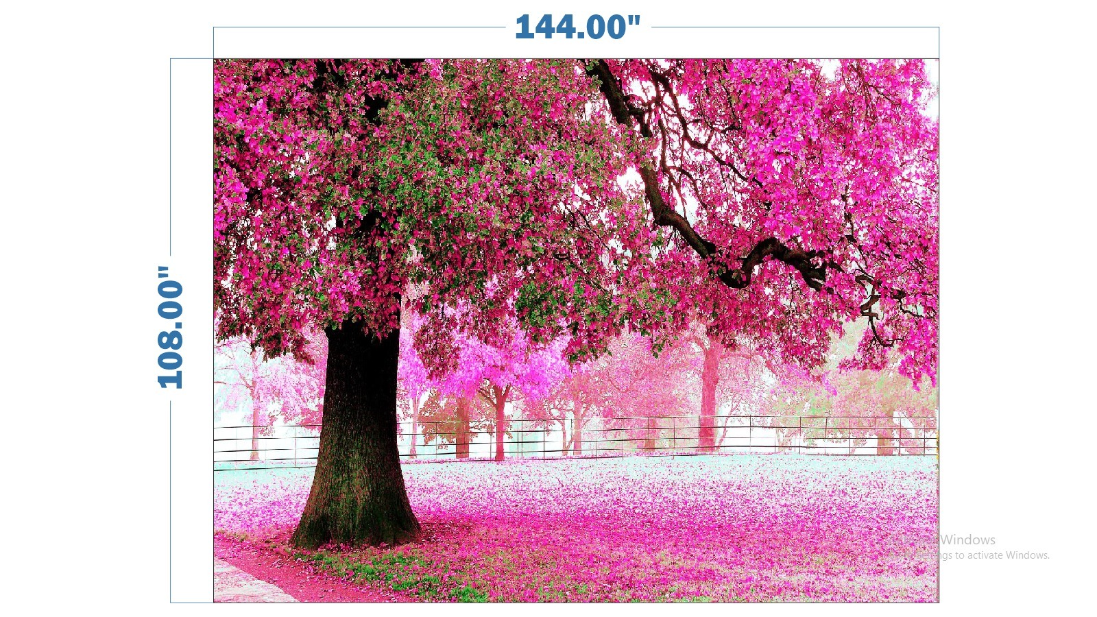 Customized Wallpaper - Various Designs & Finishes | Captivating Scenes, Creative Patterns, Perfect For Home Renovation