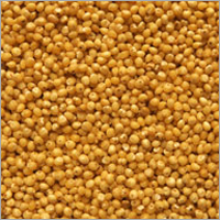 Millet (Finger, Foxtail)