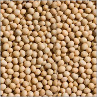 Soyabean or Rapeseed Meal