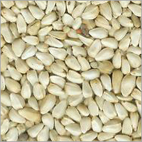 Safflower Seed