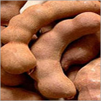 Tamarind Seed