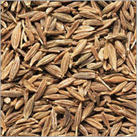 Cumin Seed