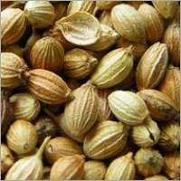 Coriander Seed