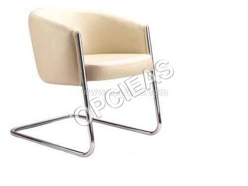 आगंतुक अध्यक्ष