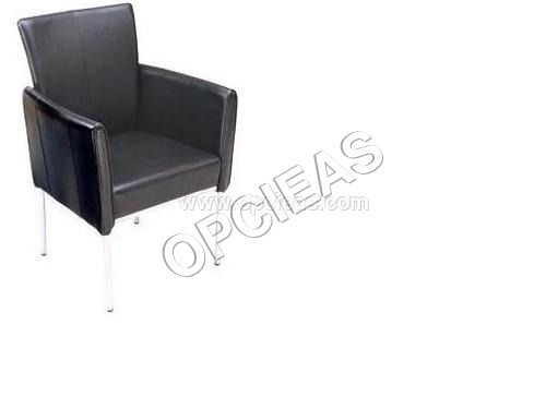 आगंतुक अध्यक्ष