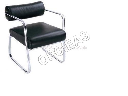 आगंतुक अध्यक्ष