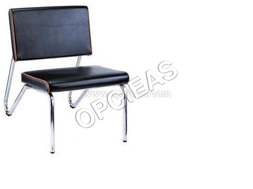 आगंतुक अध्यक्ष