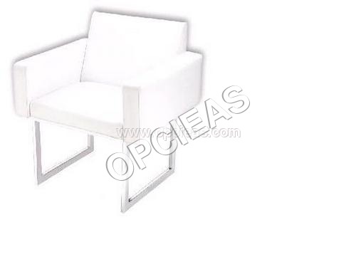 आगंतुक अध्यक्ष