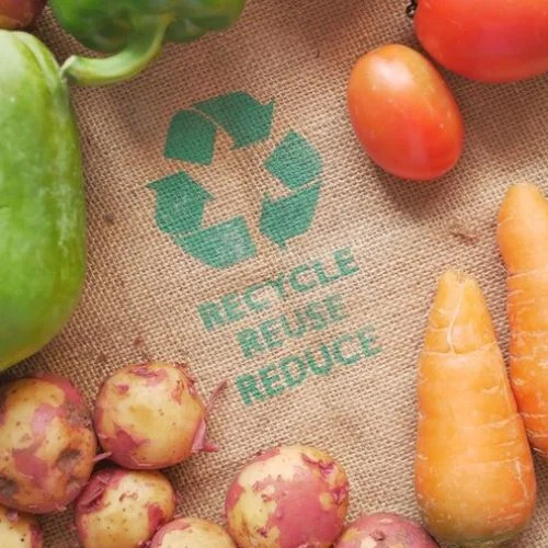 Recycled Bio Plastic Material - BOPP, Customized Size, Wide Color Range, Soft Texture, Warranty Included