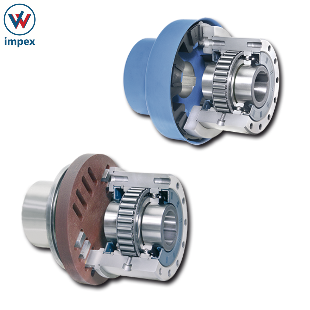 Ringspann Freewheel Clutch