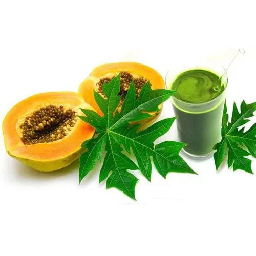 Papaya Leaf Extract - Grade: Herbal Grade
