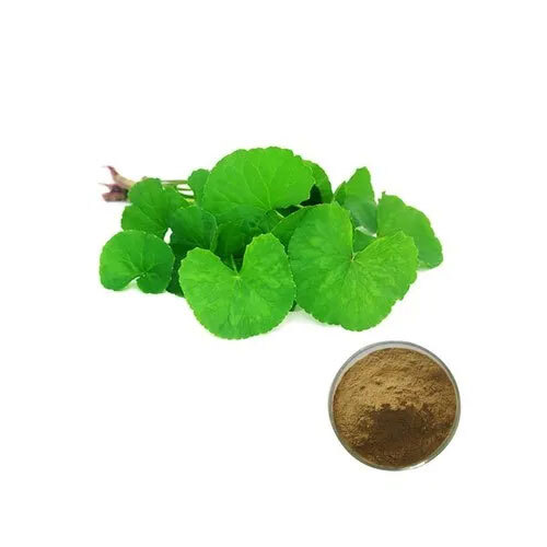 Centella Asiatica Extract - Herbal Grade Powder | All-purpose Skin Health Booster, Antioxidant & Anti-inflammatory Support