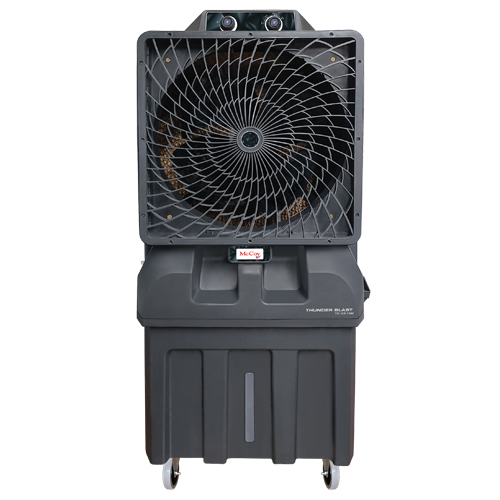 TC DX 150 न्यू 17022024 थंडर ब्लास्ट