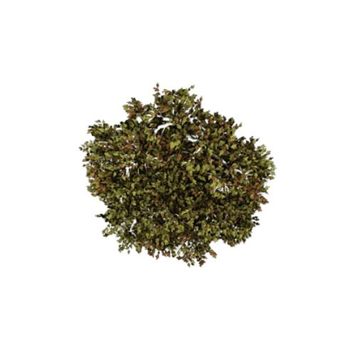 सूखा ज़ातर