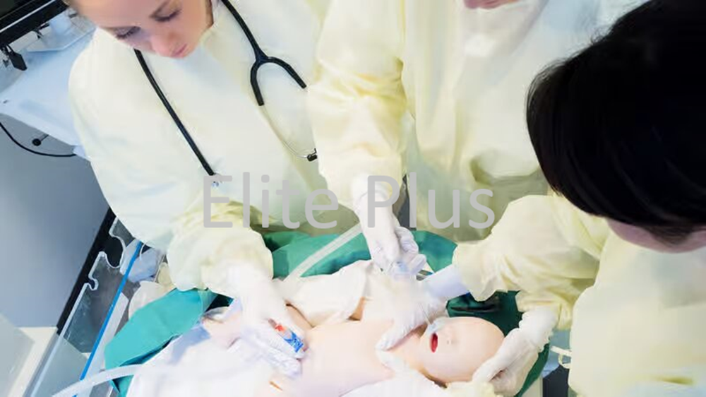 Simnew B - Color: Ivory