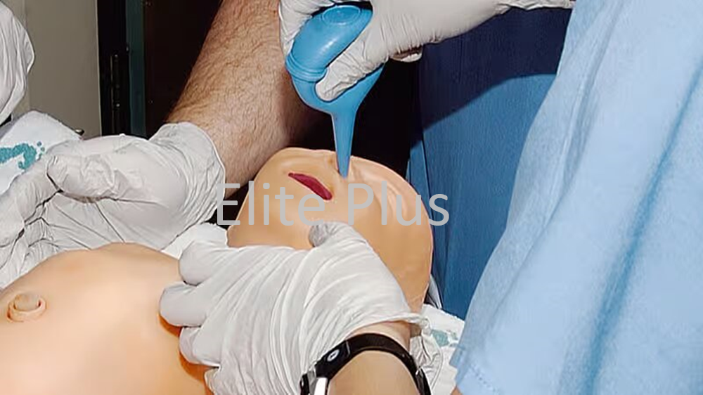 Simnew B - Color: Ivory