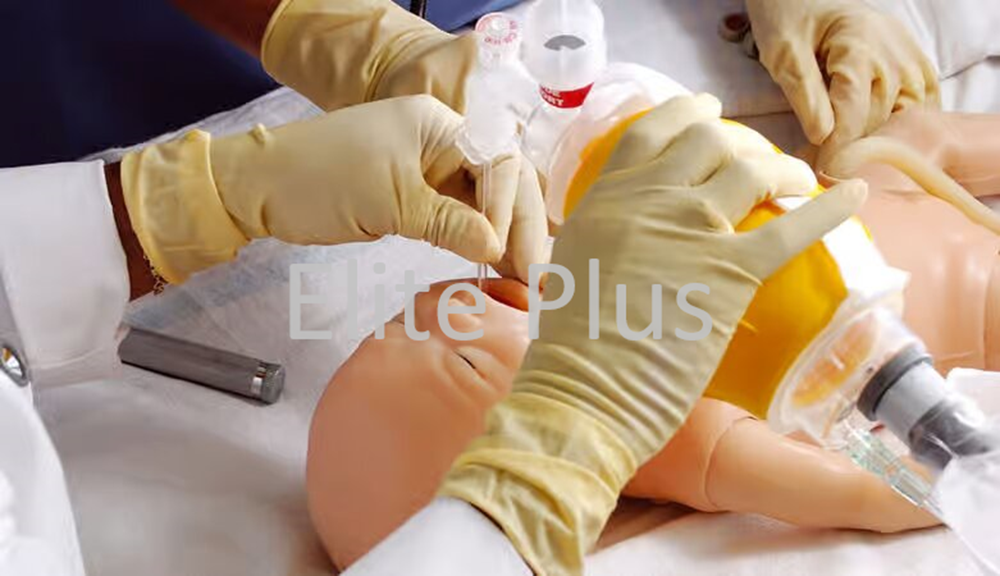 Simnew B - Color: Ivory